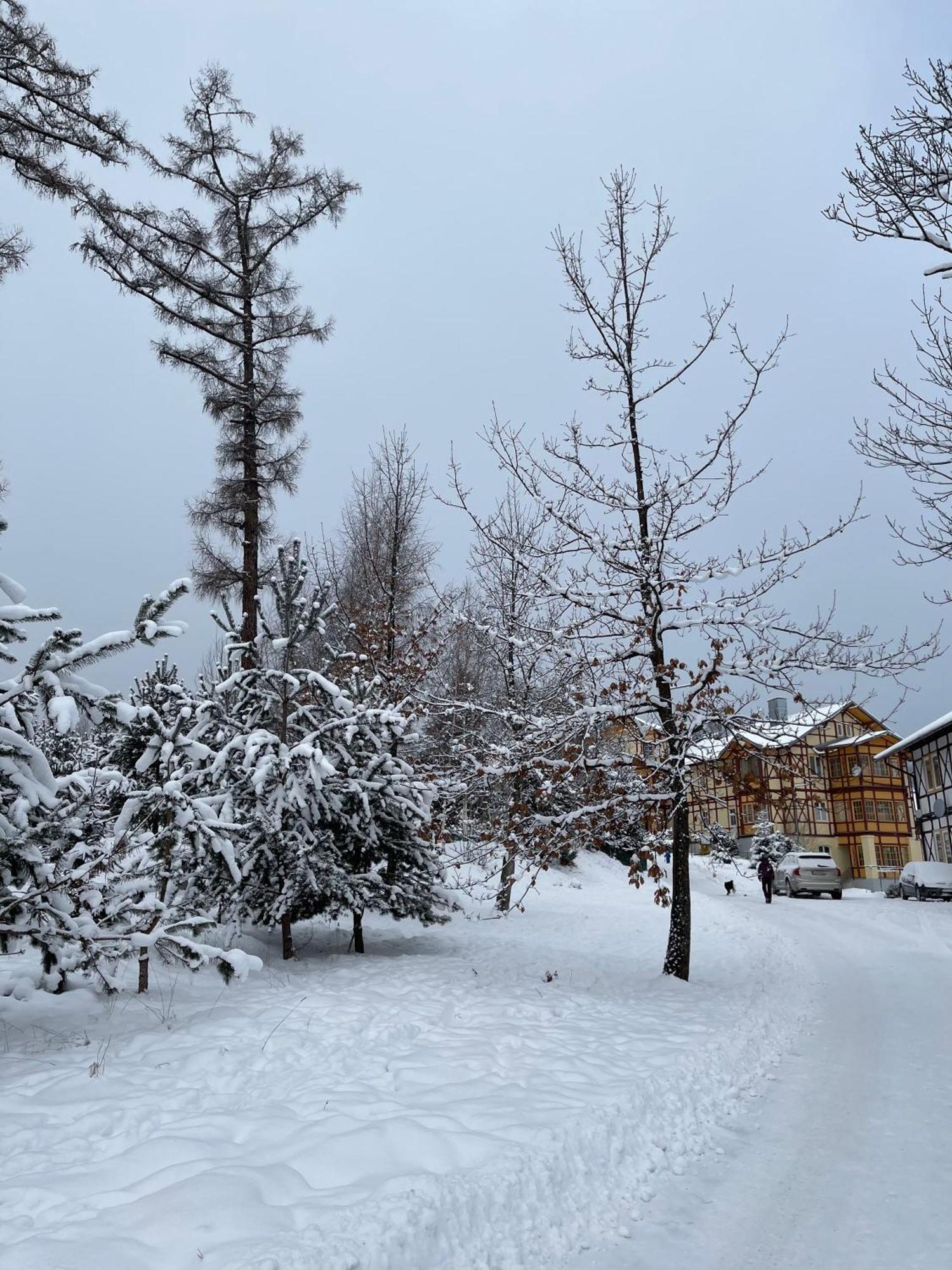 Vila Mudron Vysoke Tatry Ngoại thất bức ảnh